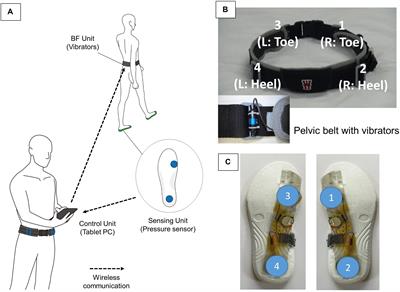 Using a Vibrotactile Biofeedback Device to Augment Foot Pressure During Walking in Healthy Older Adults: A Brief Report
